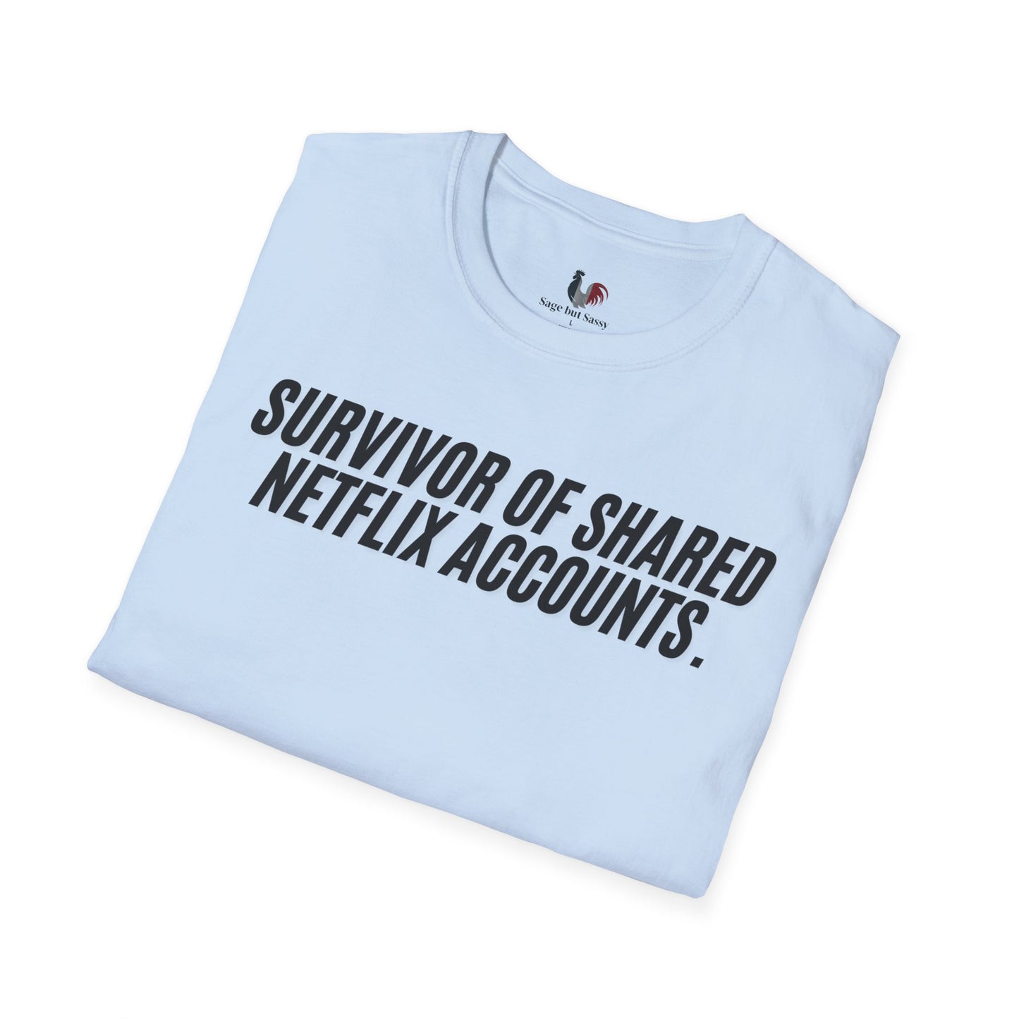 Survivor of shared Netflix accounts, Unisex Softstyle T-Shirt, Divorce/Breakout