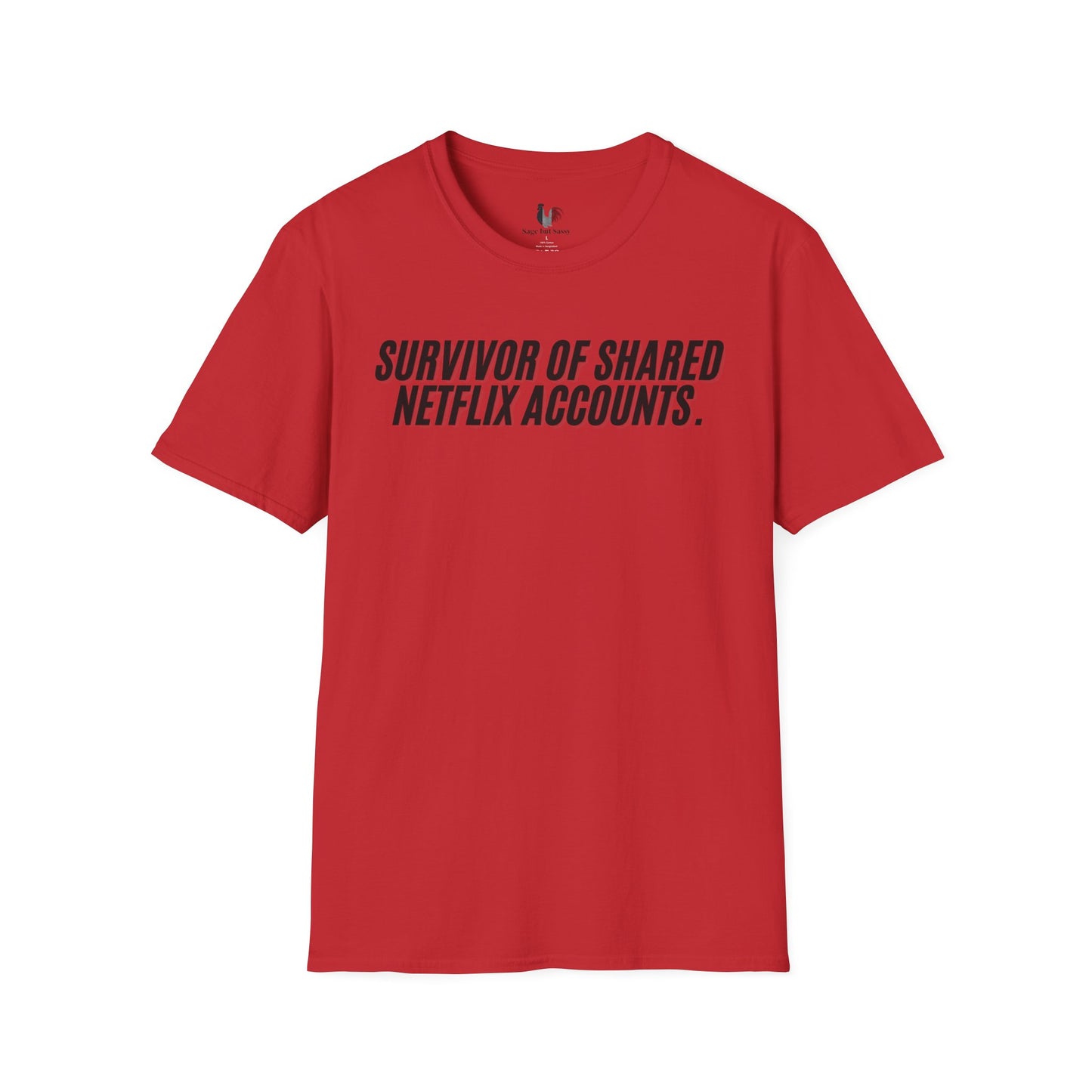 Survivor of shared Netflix accounts, Unisex Softstyle T-Shirt, Divorce/Breakout